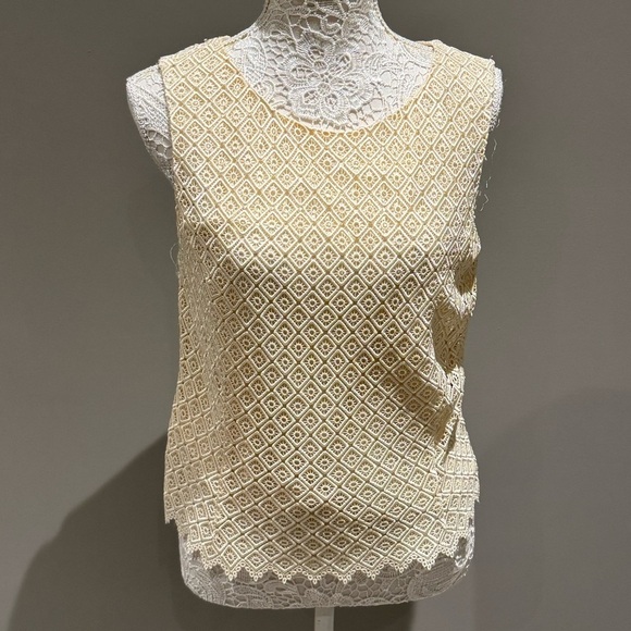 Studio Jaz Tops - Chic Beige Sleeveless Lace Top